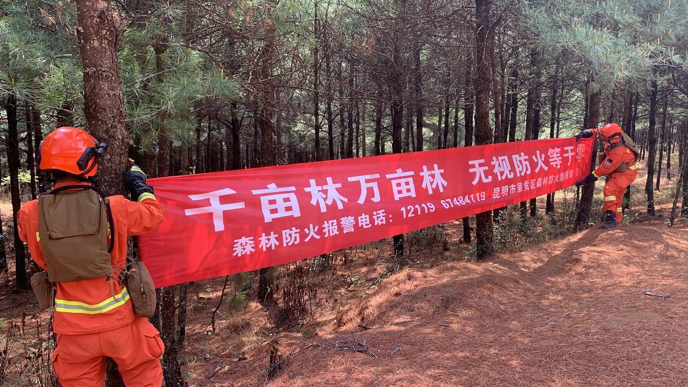 林祝烧插卡类