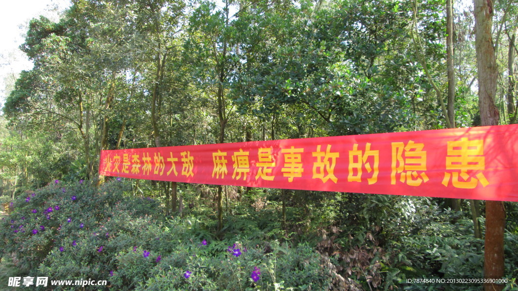 林祝烧插卡类